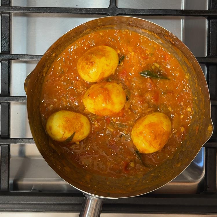 Golden fried eggs gently simmering in the thick, tangy reddish-brown curry gravy