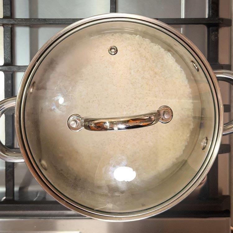 Pot with uncooked rice grains covered in water on stovetop