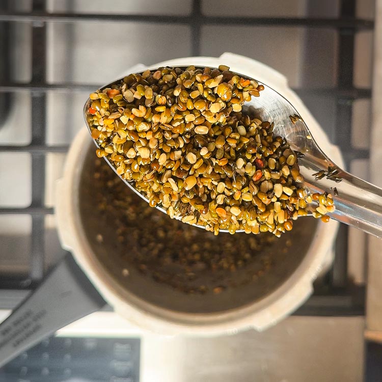 Golden roasted split moong dal with aromatic toasted appearance