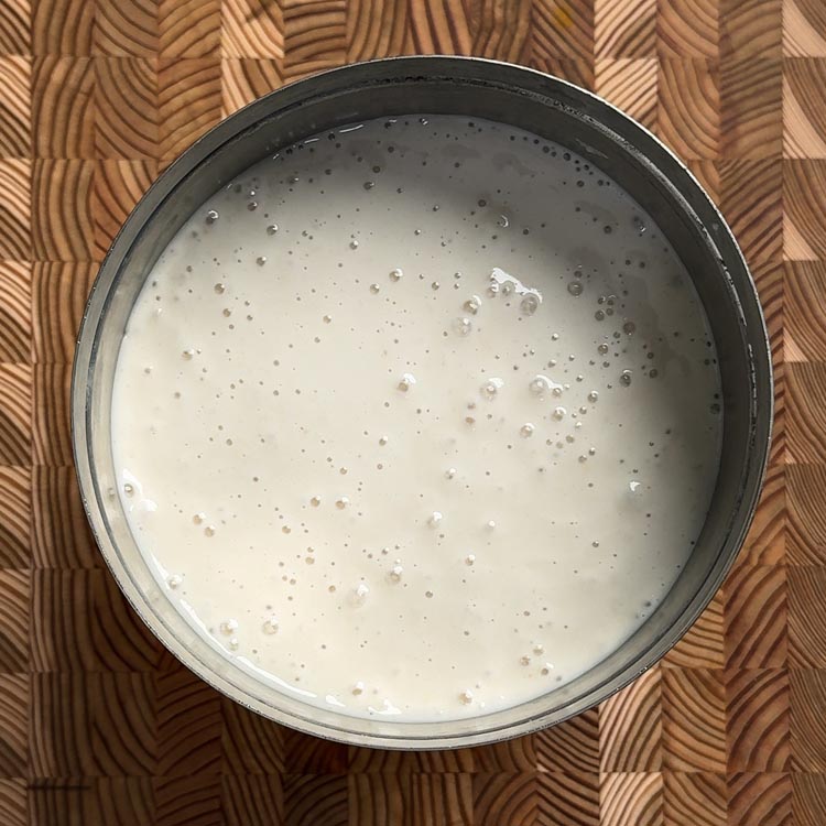 Freshly ground Sona Masoori dosa batter in fermentation bowl with visible air bubbles and smooth texture