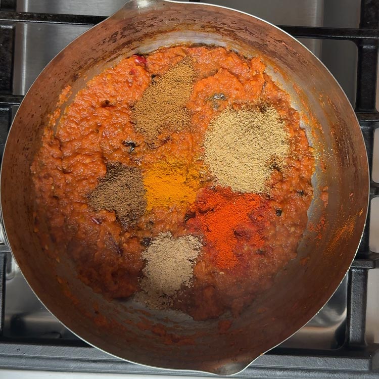 Turmeric, coriander powder, chili powder, and cumin arranged on thick orange red curry base