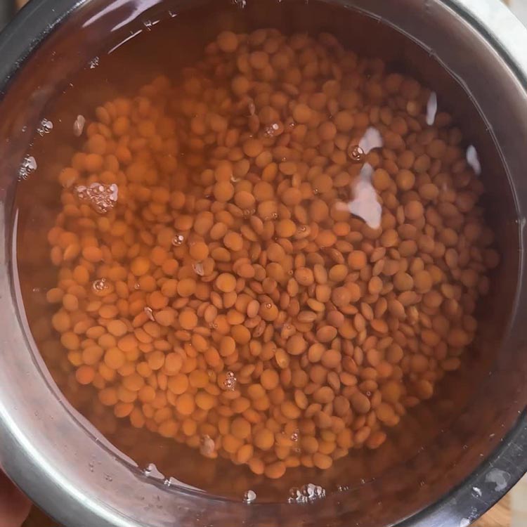 Brown lentils soaking in water in dark cooking pot, preparation step for softening