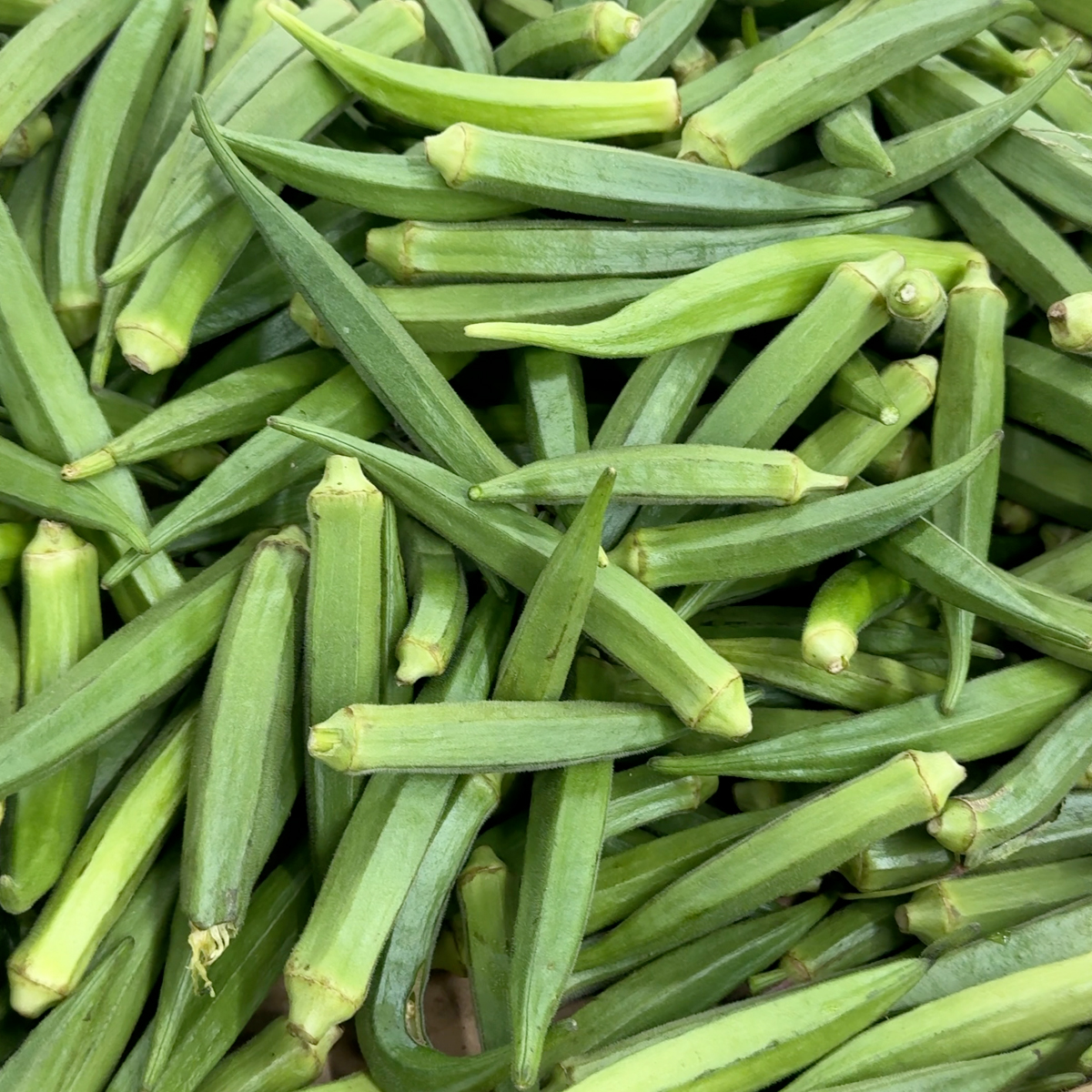 okra placed on a table