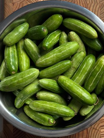 Dondakaya also known as ivy gourd in a steel bowl on top of the counter.